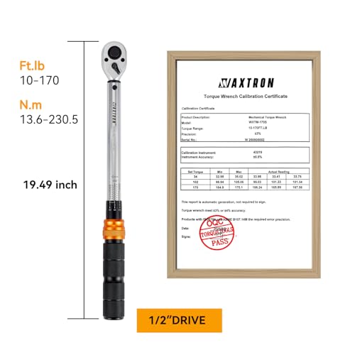 1/2 Inch Drive Click Torque Wrench, 10-170 ft-lb (13-230 Nm) Micrometer Adjustable Dual Scales, 72-Tooth Reversible Ratchet, ±2% Accuracy, Storage Case - size: 1/2" Drive