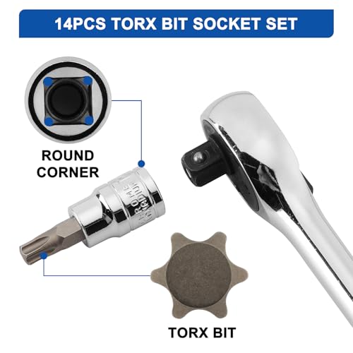 Mayouko 14PCS Torx Bit Socket Set, T6-T60, 1/4-Inch, 3/8-Inch and 1/2-Inch Drive, S2 and Cr-V Steel, Star Bits Socket Set