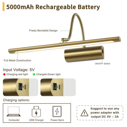 JOOSENLUX Battery Operated Picture Lights Gold Wall Lights Wireless Flexible Neck with Remote Rechargeable Wall Lights for Pictures 16" Dimmable Display Art Light with Timer 3000K Brass - color: Brass, size: Model A