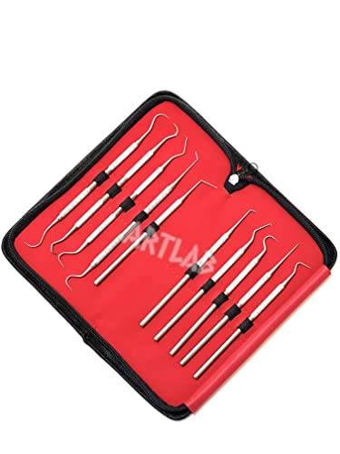 Premium Set of 12 Stainless Steel Precision Micro Probe Set Combo-Straight, Single, Short Double, Long Double, Triple and Hook Tips -Pick Tool Set 5.5"(14CM) (Set of 10 Each)