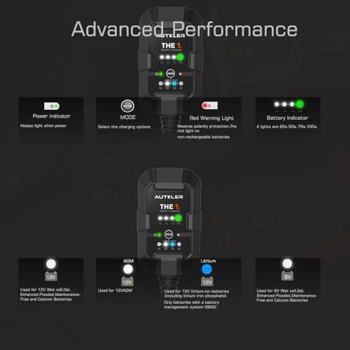 THE1A 6V/12V Smart Battery Charger,Trickle Charger,Desulfator & Automatic Maintainer for Multi-Chemicals Lead-Acid & Lithium Batteries,Temperature Compensation Down -20 °C,IP60