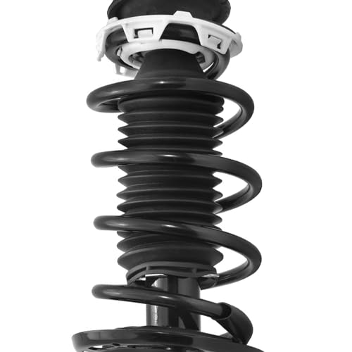 Detroit Axle - 2 Front Struts for 2006 2007 2008 Honda Fit, Struts with Coil Spring Quick Struts Complete Assembly Replacement Suspension - size: 11411_11412/Pair