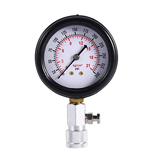 Cylinder Pressure Gauge, Multi-Functional Petrol Gas Engine Cylinder Compression Tester Test Gauge Kit 0-21BAR or 0-300PSI Car Motorcycle Garage Tools with Molded Case