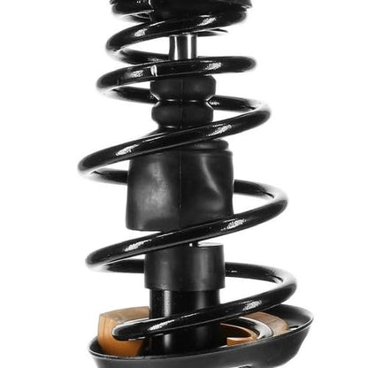 Detroit Axle - 2 Front Struts for 2013 2014 2015 Chevrolet Malibu 2016 Malibu Limited, Complete Struts with Coil Spring Assembly Replacement Suspension Quick Install Ready Strut Shock - size: SR4390_SR4391/Pair