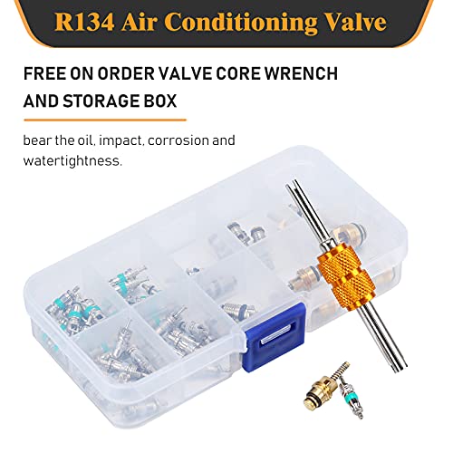 Frienda 56Pcs R134a R12 AC Valve Core Quick Remover Installer Tool Kit, Universal Automotive Air Conditioning Valve Stem Cores Brass Replacement Assortment for Car Refrigeration Tire