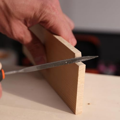 REXBETI 19Pcs Metal Needle File Set, Small Diamond Files, 12Pcs Jewlers Files and Steel Files for Precision Metal and Woodworking with 6Pcs Sandpaper, Metal Brush and Carry Case - style: 13PCS