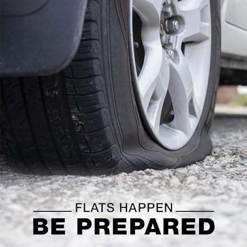 Fix-A-Flat S60420 Aerosol Emergency Flat Tire Repair and Inflator, for Standard Tires, Eco-Friendly Formula, Universal Fit for All Cars, 16 oz. (Pack of 1) - size: 16oz