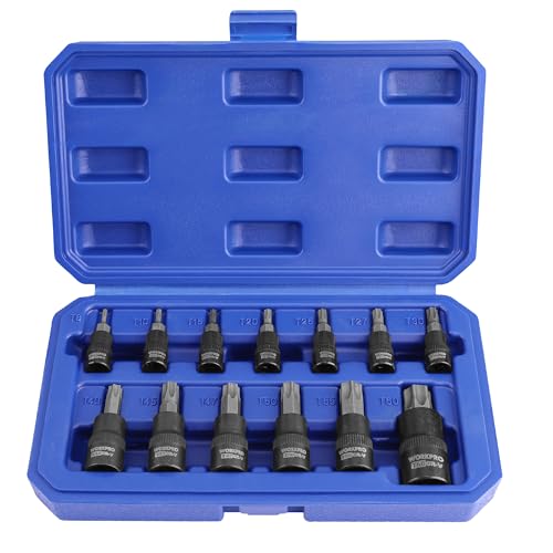 WORKPRO Torx Bit Socket Set, 1/4", 3/8" and 1/2" Drive Torx Bits 13-Piece Socket Set T8-T60, Premium S2 Steel Bits and CR-V Sockets with Storage Case - style: 13-piece torx bit socket set