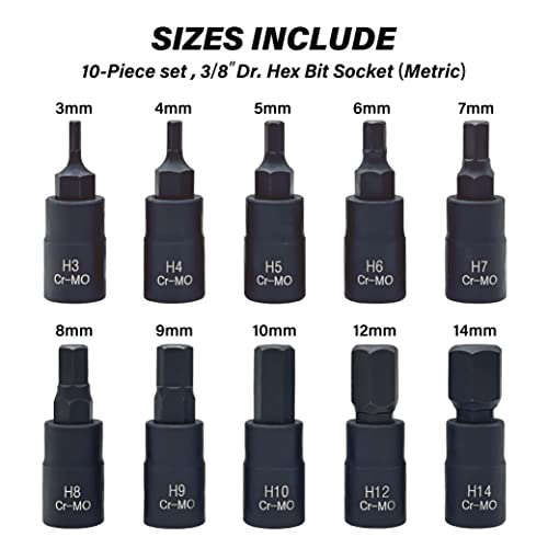 HEX Bit Socket Set, Premium Cr-Mo Steel | 10-Piece Metric 3mm - 14mm Set | 3/8-Inch Drive | Enhanced Storage Case… - size: Hex Bit