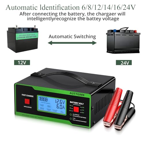 8 Volt Battery Charger 0-14A Smart Adjustable Golf Cart Battery Charger and Maintainer with Cable Clamps and Handle,Smart Trickle Charger for 6/8/12/14/16/24V Batteries - color: Green