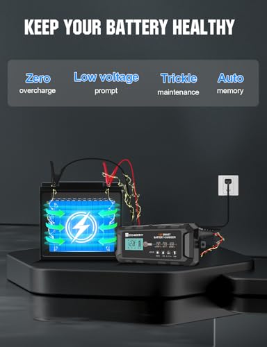 ECO-WORTHY 10A LiFePO4 Battery Charger 12V, Smart Lithium Battery Charger & Maintainer, Trickle Charger and Desulfator for Lead Acid, RV, Car, Motorcycle, Marine, Boat
