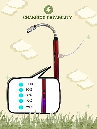 Electric Rechargeable Lighter with Flexible Long Neck - USB Powered - LED Battery Display - for Candles, Camping, and More (Candy Apple Red) - color: Candy Apple Red