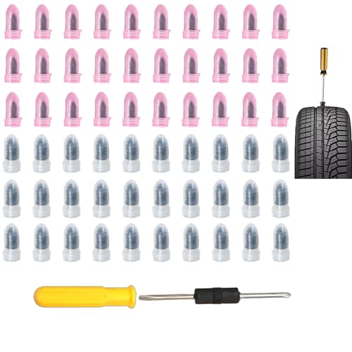 60 PCS Tire Repair Kit, Tire Repair Screws with 2 Sizes, Vacuum Tire Repair Rubber Nail, Screwdriver&Storage Box, Fast Self-Service Tool for Car, Truck, Motorcycle, Tire Puncture Repair (60Pcs) - size: 60Pcs