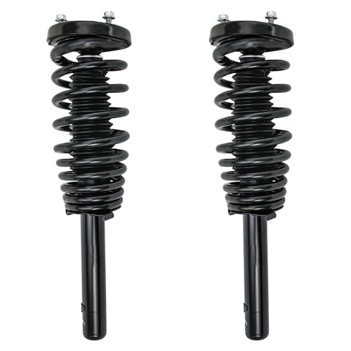 Detroit Axle - 2 Front Struts for 1998-2002 Honda Accord 1999-2003 Acura TL 01-03 CL Complete 2 Struts with Coil Spring Assembly Replacement Quick Install Ready Strut Shocks - size: 171691L_171691R/PAIR