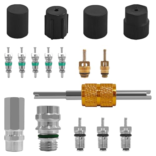 17PCS Air Conditioning Valve Core Kit, Valve Cores Accessories A/C R12 R134a Sealing Cover Automotive Air Conditioning Refrigeration Tire Valve Stem Cores Repair Tool Assortment Kit Universal for Cars