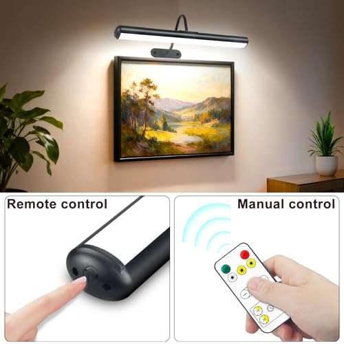 Set of 2 Picture Lights with Timer Dimmer, Painting Light with Remote Rechargeable Battery ,Wall Art 3 Lighting Colors Temps,16inch Full Metal Over Picture Painting Frame Dartboard Gallery Hallway - color: Black, size: 16inch Gooseneck 2-Pack