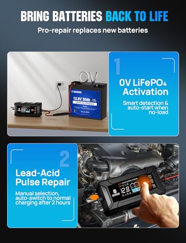 DC HOUSE 12V 5A Battery Charger, Smart LiFePO4 & Lead Acid Battery Maintainer, Trickle Charger & Desulfator for Car, Motorcycle, Automotive Batteries