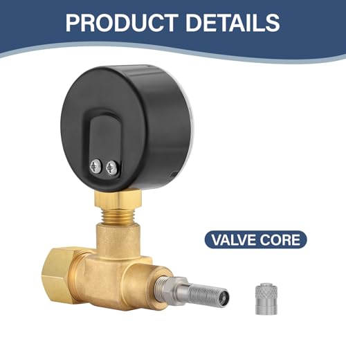 MEASUREMAN Air Over Water Test Regulator with Gauge, 2” Dial, 0-100 PSI, for Household Water Pipe Leak Detection, Includes 1/4” NPT Mount - size: 0-100 PSI