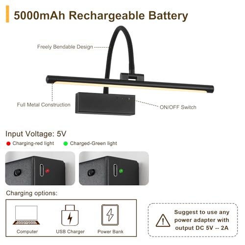 JOOSENLUX Wireless Picture Light - Battery Operated Black Wall Light with Remote Control - Dimmable Timer - 15.94” Display - Flexible Neck Swing Arm - Art Gallery Light - color: Black, size: Model B