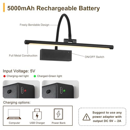 JOOSENLUX Wireless Picture Light - Battery Operated Black Wall Light with Remote Control - Dimmable Timer - 15.94” Display - Flexible Neck Swing Arm - Art Gallery Light - color: Black, size: Model B
