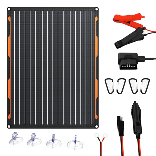 FlexSolar 20W 12V Solar Panel Battery Trickle Charger Maintainer Kits | Built-in Charge Controller, Cigarette Lighter, Alligator Clips, O-Rings OBDII Connector for Car, Truck,Tractor, Boat - color: TC-20W