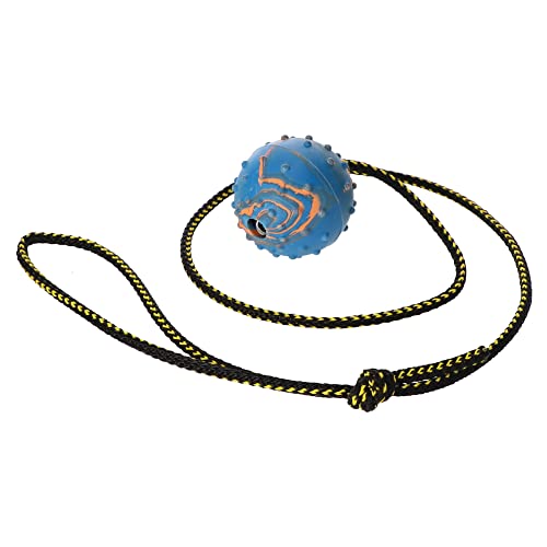 Dingo Fetch Ball Made of Hard Rubber with Knobs and String, Small, for Aport Game Dog Training 17321 - size: us4/100cm