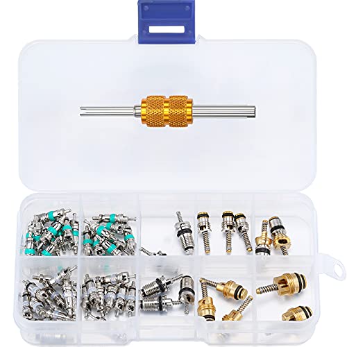 Frienda 56Pcs R134a R12 AC Valve Core Quick Remover Installer Tool Kit, Universal Automotive Air Conditioning Valve Stem Cores Brass Replacement Assortment for Car Refrigeration Tire