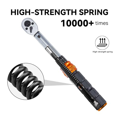 Bike Torque Wrench Set, 1-25 Nm, 45-Piece Kit with 1/4" Drive Click Ratchet Wrench and Bits