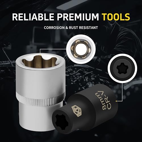 15pc External Torx Plus Socket Set Compatible with Tesla, 6 Point EP Sockets EP4, EP5, EP6, EP7, EP8, EP10, EP11, EP12, EP14, EP16, EP18, EP20, EP22, EP24 with 1/2'' 3/8'' 1/4'', Silver - color: Silver