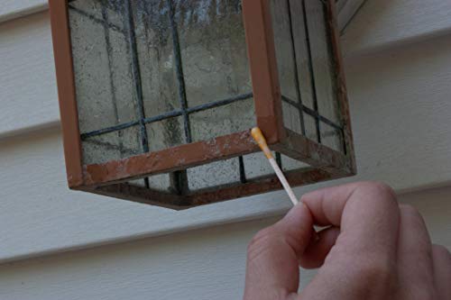 Scitus, Know Understand 30 Lead Tests for All Painted Surfaces, Get Results in 30 Seconds, Test Painted Surfaces Around The House - size: 30 Count (Pack of 1)