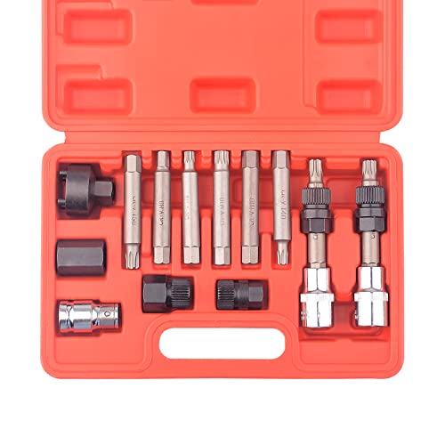DAYUAN 13Pcs Alternator Freewheel Pulley Car Garage Tool Kit | Alternator Pulley Tool Set，Hex, Spline & Star Bits, Compatible with Bosch-Type Alternators & OAD & OWC Pulleys, Cr-V Steel