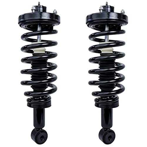 Detroit Axle - 2pc Rear Struts for 2003-2006 Ford Expedition Lincoln Navigator, 2 Complete Struts Shocks with Coil Spring Assembly 2003 2004 2005 2006 Replacement - size: 171370 x2/PAIR