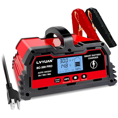 LVYUAN 30Amp Smart Car Battery Charger, 12V/24V Automotive Charger, Lead-Acid Battery, LiFePO4 Battery Maintainer with LCD Display, Trickle Charger, for Lawn Mower, Motorcycle, AGM, STD, Gel, EFB,etc
