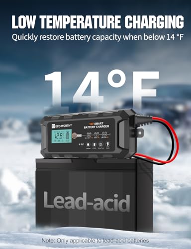 ECO-WORTHY 10A LiFePO4 Battery Charger 12V, Smart Lithium Battery Charger & Maintainer, Trickle Charger and Desulfator for Lead Acid, RV, Car, Motorcycle, Marine, Boat