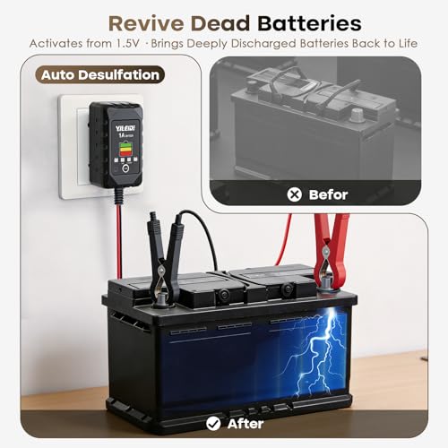 1A Smart Battery Charger for 6V/12V Lead-Acid & 12V Lithium Batteries- Trickle Charger & Desulfator for car Motorcycle Lawn Mower Boat Motorcycle Snowmobile