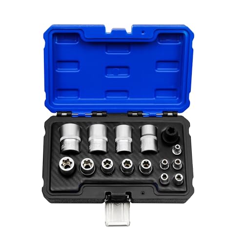 15pc External Torx Plus Socket Set Compatible with Tesla, 6 Point EP Sockets EP4, EP5, EP6, EP7, EP8, EP10, EP11, EP12, EP14, EP16, EP18, EP20, EP22, EP24 with 1/2'' 3/8'' 1/4'', Silver - color: Silver