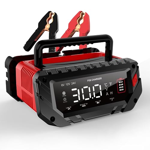 30 Amp Lithium Battery Charger,6V/12V/24V Lifepo4,Lead-Acid(AGM/Gel/SLA..) Portable Car Battery Charger,Battery Maintainer, Smart Trickle Charger, and Battery Desulfator for Car,Boat,Motorcycle… - color: P30