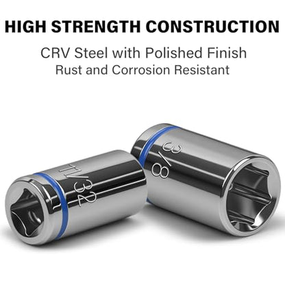 1/4" Drive SAE Master Socket Set, 13-Piece Shallow Hex Socket Set (1/8" - 5/8"), Cover Most Commonly Sizes, 6 Point, Chrome Vanadium Steel with Molded Case - size: Shallow, style: 13pcs-SAE