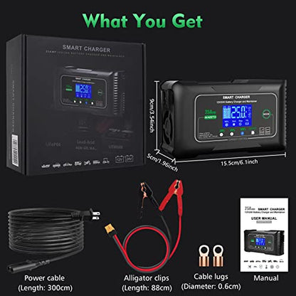 25 Amp Lithium Battery Charger, 12V and 24V Lifepo4,Lead-Acid(AGM/Gel/SLA..) Battery Charger,Battery Maintainer, Trickle Charger, and Battery Desulfator for Car,Boat,Motorcycle, Lawn Mower.