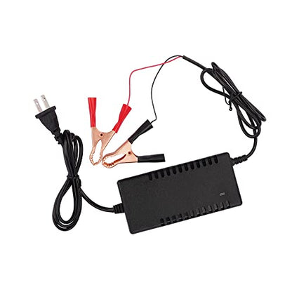 SaiDian 1Pcs 12V Battery Charger Maintainer Trickle RV 14.6V 3A for Car Truck Motorcycle 12 V Lithium Iron Phosphate LiFePO4 Battery Recharging
