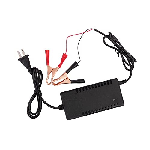 SaiDian 1Pcs 12V Battery Charger Maintainer Trickle RV 14.6V 3A for Car Truck Motorcycle 12 V Lithium Iron Phosphate LiFePO4 Battery Recharging