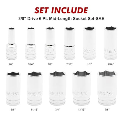 CASOMAN 11PCS 3/8" Drive 6 Pt. Mid-Length Socket Set, SAE, Mirror Chrome Finish, 1/4", 5/16", 3/8", 7/16", 1/2", 9/16", 5/8", 11/16", 3/4", 13/16", 7/8" - size: 3/8"Dr., Mid-Length, 6.4 to 22.2mm