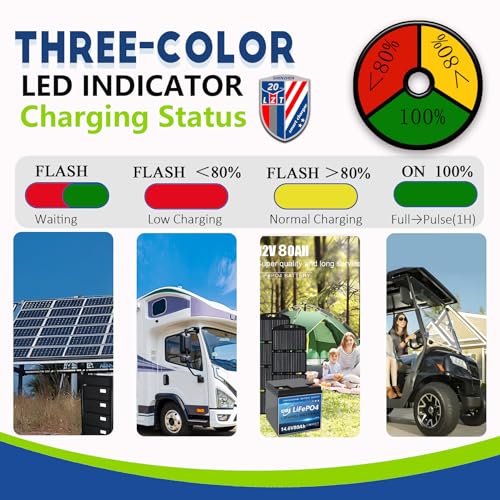 24V/29.2V 25Amp LiFePO4 Battery Charger, IP67 Waterproof 0V Battery Rescue Smart Trickle+Pulse Charger with 2 Anderson Connectors for Car, RV, Boat,Truck,Marine, Solar, and 24V Lithium Batteries - color: 800w 24V 25A Lithium Charger-Green