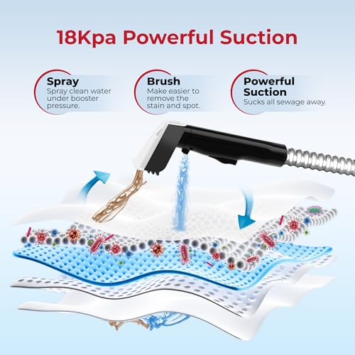 Rosewill Multi-Purpose Portable Carpet and Upholstery Cleaner, Powerful Suction 18 KPa Spot Cleaner, 600W Motor, Car and Auto Detailer, Stain/Spot Remover; Versatile Use: Carpet, Sofa, Pet Hair - color: Black
