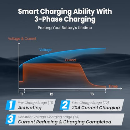 12V 20A Lithium Battery Charger VATRER POWER 14.6V LiFePO4 Battery Charger with 0V Activation, LED Indicator & Anderson Connector for 12V Lithium Batteries in Boat RV - color: Blue