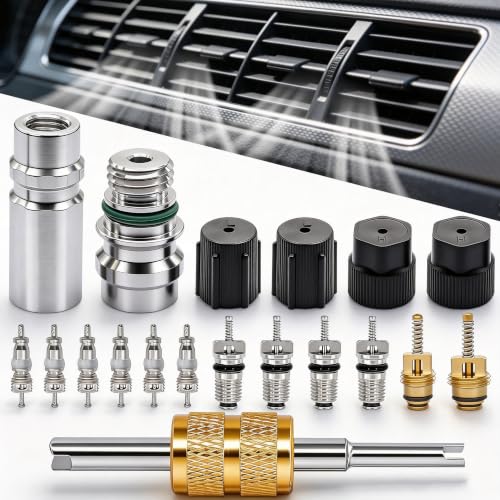 TWTADE 19PCS Air Conditioning Valve Core Kit - Car AC R12 R134a Teflon Seal Refrigeration Schrader Valve Stem Cores with Remover Tool, Service Valve & HVAC System Charging Port Seal Caps Kit - color: Multicolor - 19Pcs