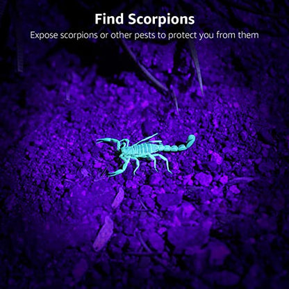 Lepro 51 LEDs UV Light Handheld Blacklight, UV Flashlight Black Light, 395nm Detector for Pet Urine, Stains, Bed Bug and Scorpions, Battery Not Included