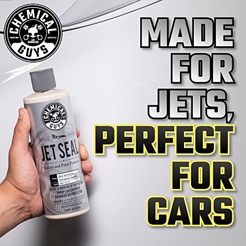 Chemical Guys, JetSeal Anti-Corrosion Paint Sealant & Protectant, 16 oz | Durable sealant bonds to paint for high gloss and lasting protection against the elements on cars, trucks and RVs