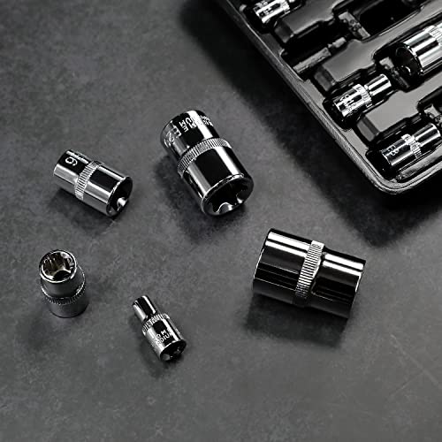 Amazon Basics 14-Piece External Torx Socket Set, E4-E24, 1/4", 3/8", 1/2" Drive, with Storage Case, for Auto Repair
