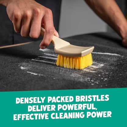 Chemical Guys Induro 7 Heavy Duty Nifty Carpet & Upholstery Detailing Brush 2 Pack – Deep Cleaning Brushes for Fabric, Carpet, and Upholstery - for Automotive, RV, and Home Interior Detailing - size: 2 Pack